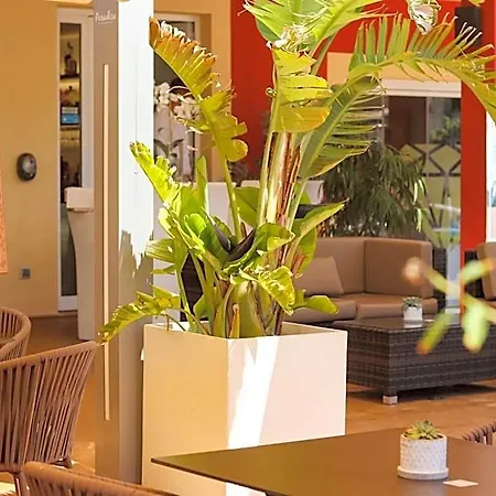 Paradise Residencial Apart&suites كالا راتخاذا